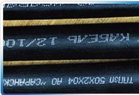 Пигментный каплеструйный маркиратор WLD-300